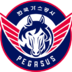 首尔SK骑士