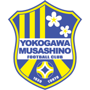 飞鸟FC