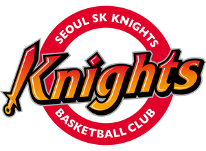 大邱石油公社飞马