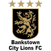 坎特贝利班克斯敦FC