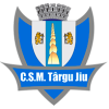 布加勒斯特农艺学