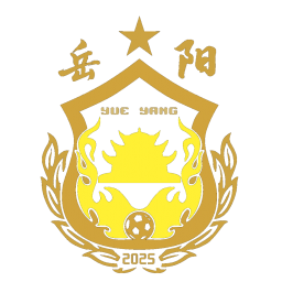衡阳队