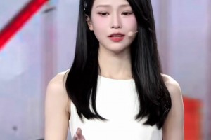 辰辰谈情绪崩溃：看到这些老将远离竞争舞台，心中总是充满遗憾